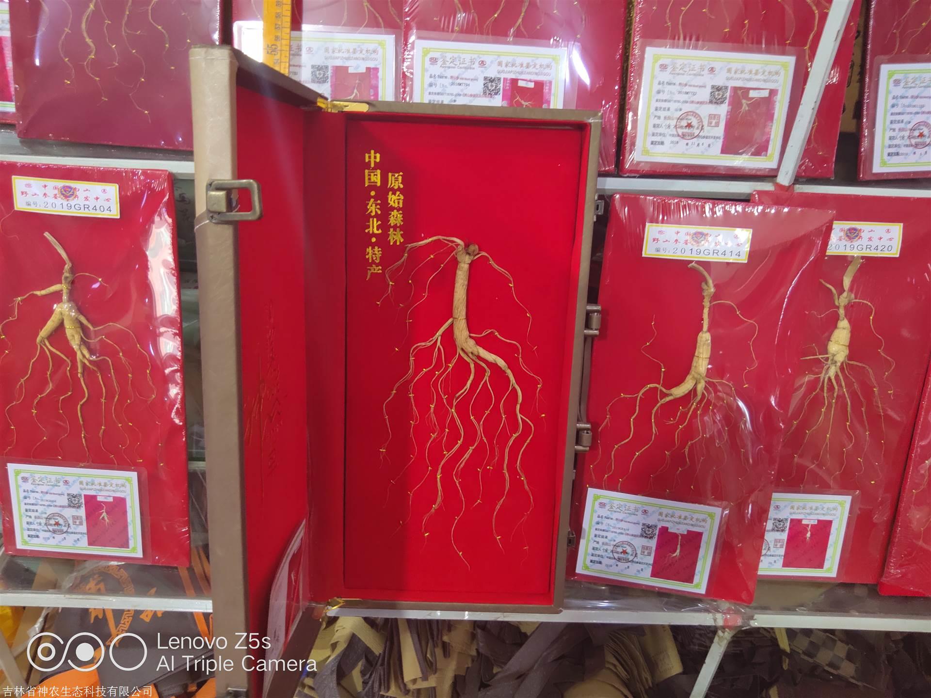 人參價格解析，市場走勢、品質(zhì)差異及影響因素深度探討