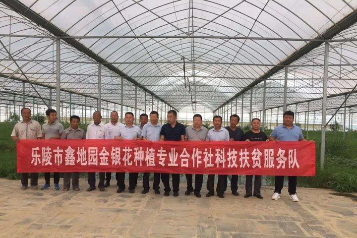 新型環(huán)剝?cè)O(shè)備，小巷中的科技新星