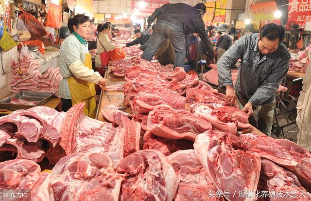 科技助力豬肉價(jià)格跟蹤，智能監(jiān)控，洞悉未來(lái)市場(chǎng)動(dòng)態(tài)