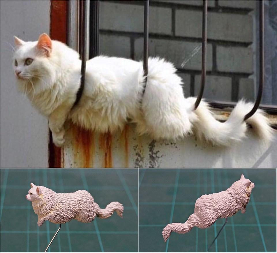 神之手比賽，技藝巔峰的榮耀之戰(zhàn)