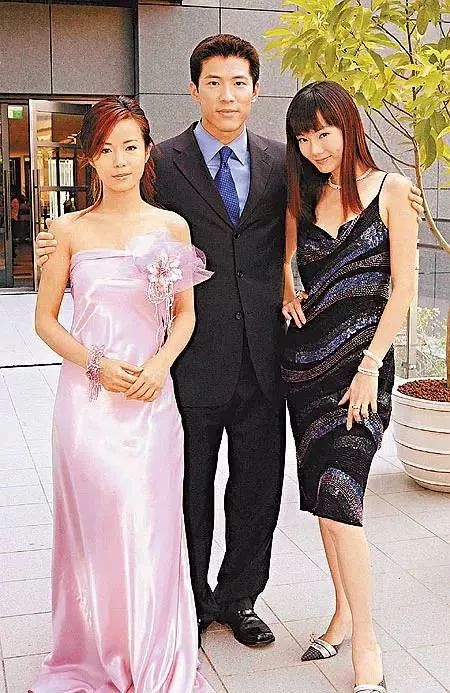 謝金燕與李政穎最新動(dòng)態(tài)，星光閃耀，攜手共繪時(shí)代畫卷