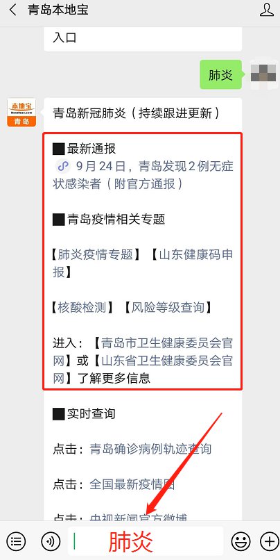 青島最新動(dòng)態(tài)，多維度視角下的城市發(fā)展探析