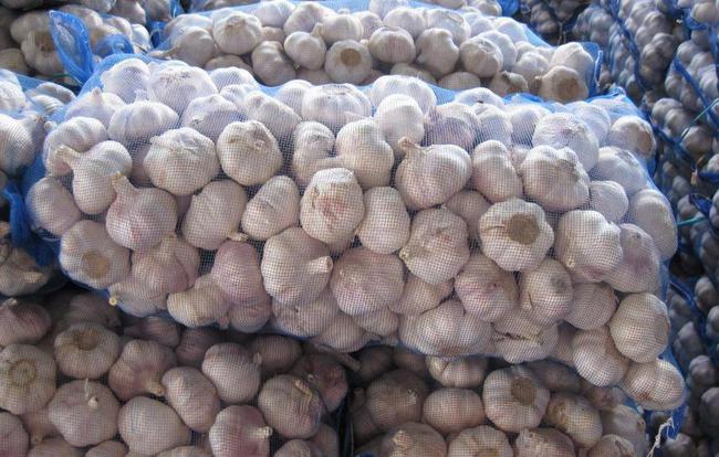 開封大蒜最新市場價格，時代味道與市場動態(tài)同步更新