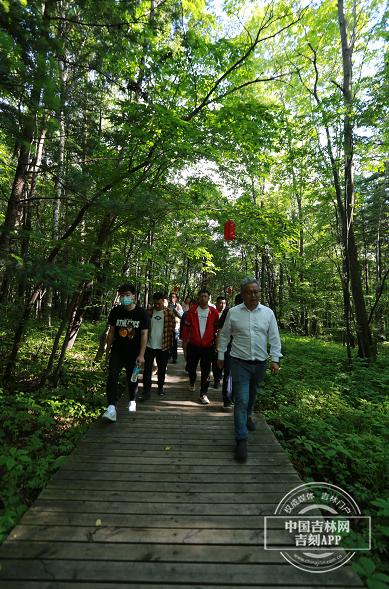 夢(mèng)幻遮天最新版下載攻略，快速獲取下載渠道與指南