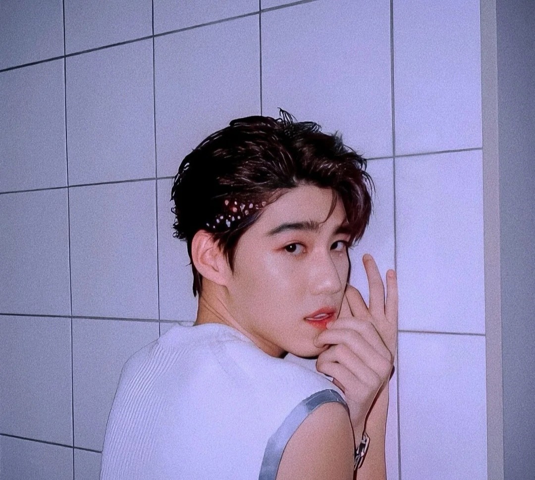 PP最新動態(tài),PP最新動態(tài)，塑造新時代的獨(dú)特力量