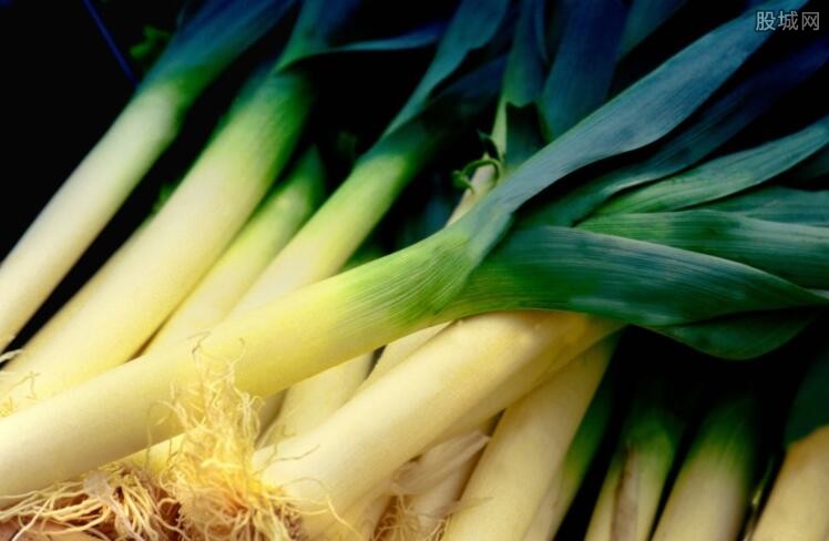今日大蔥價(jià)格最新行情,今日大蔥價(jià)格最新行情詳解，如何獲取與分析大蔥價(jià)格信息