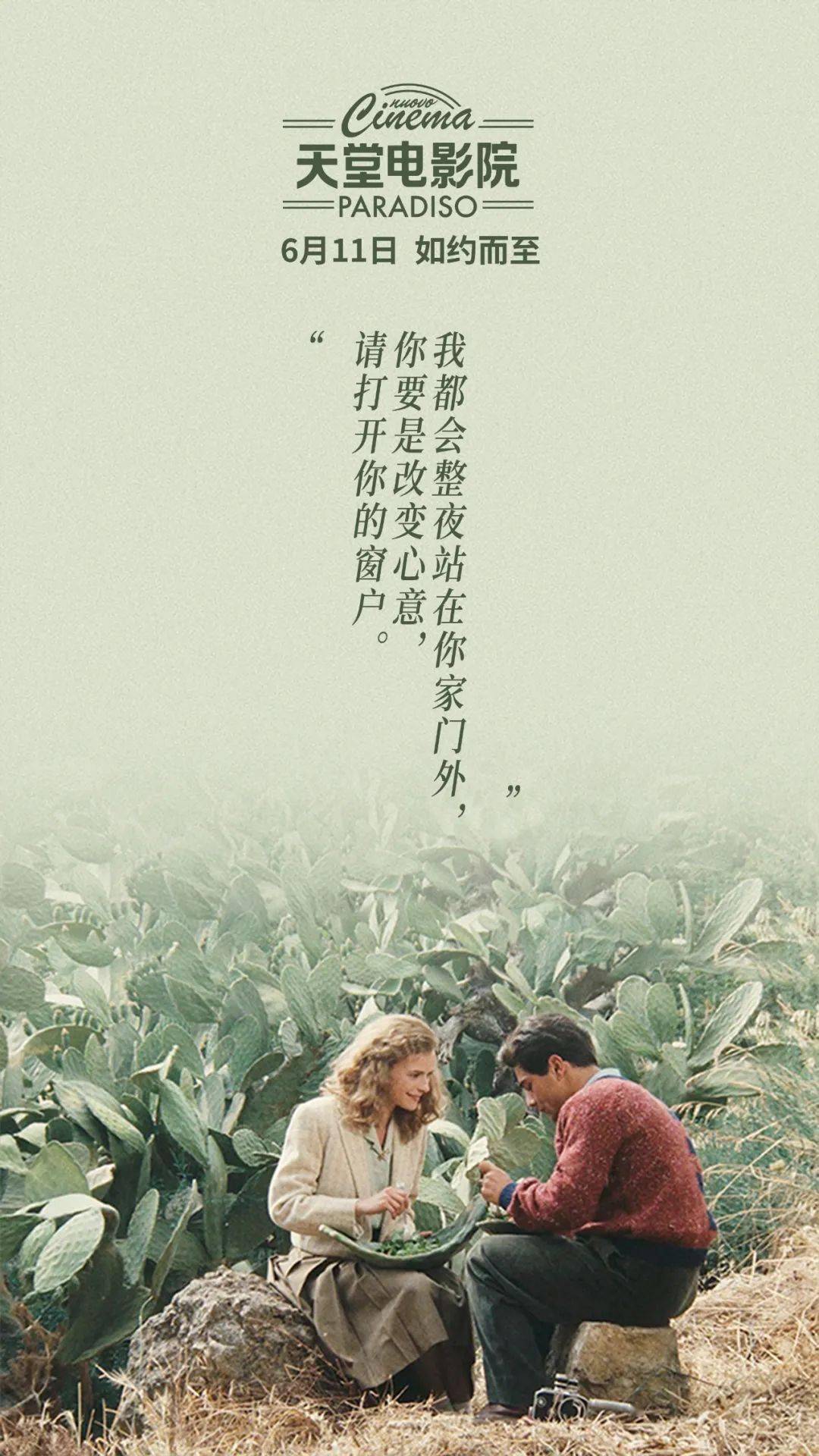 電影天堂，探尋電影的藝術(shù)精髓與無限魅力