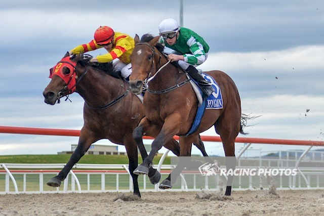 斗馬比賽殘忍視頻直播,斗馬比賽殘忍視頻直播，現(xiàn)象、爭議與反思