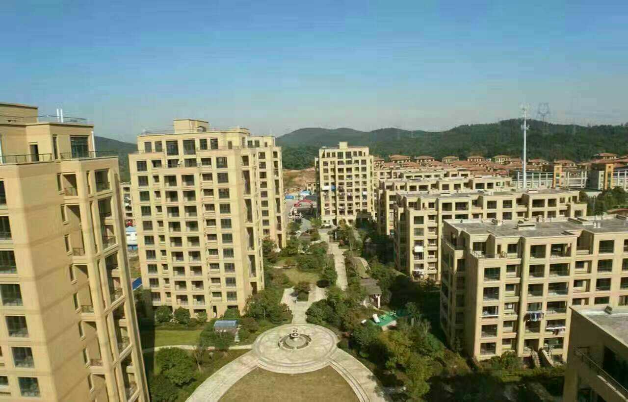 長興二手房資訊，科技引領(lǐng)房產(chǎn)新紀元，智能體驗重塑生活空間