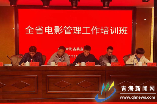 青海新聞網(wǎng)最新資訊速遞，聚焦青海，掌握最新動態(tài)