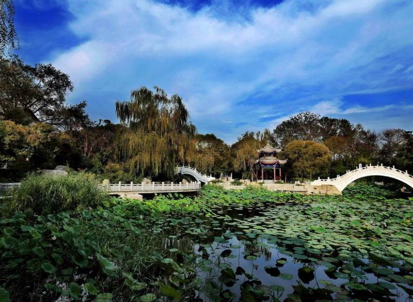 天津女排比賽門票，小巷深處的觀賽激情之旅