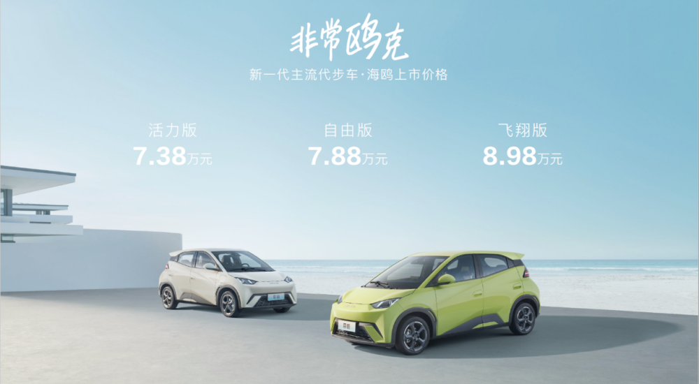 比亞迪海鷗價(jià)格背后的故事，與家的溫馨紐帶，探尋海鷗情感價(jià)值