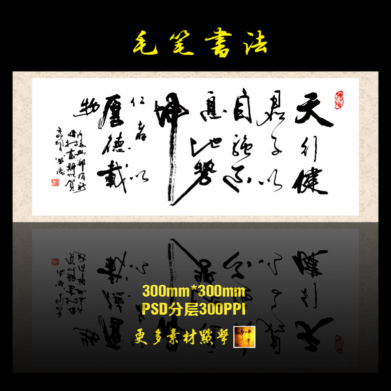 天行健上市,天行健上市，邁向資本市場的堅實步伐