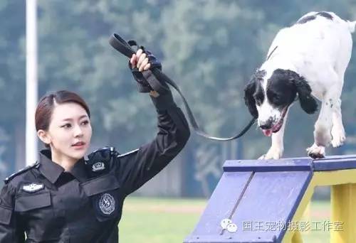 警花與警犬，鐵血柔情演繹真實警魂的演員們