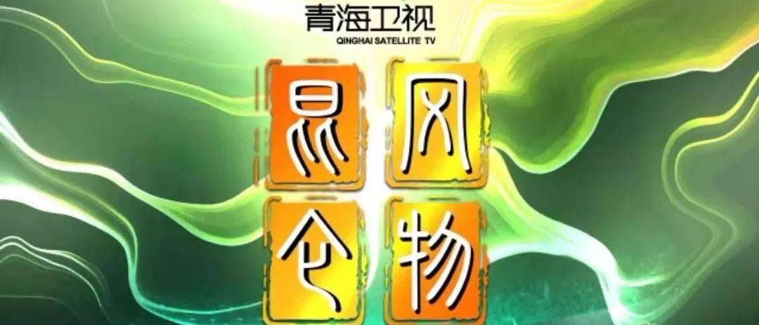 青海人事任免最新動態(tài)，溫情故事揭秘人事變遷