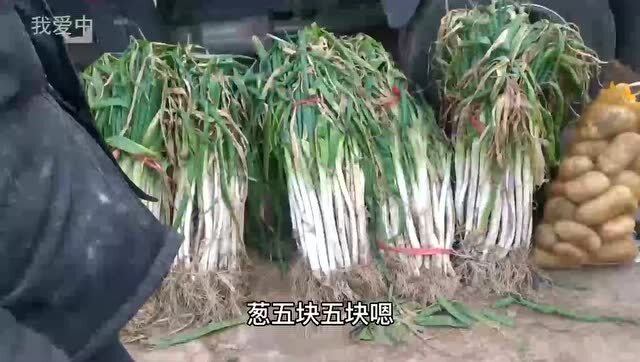 今日大蔥價格行情詳解，獲取與分析價格信息的指南