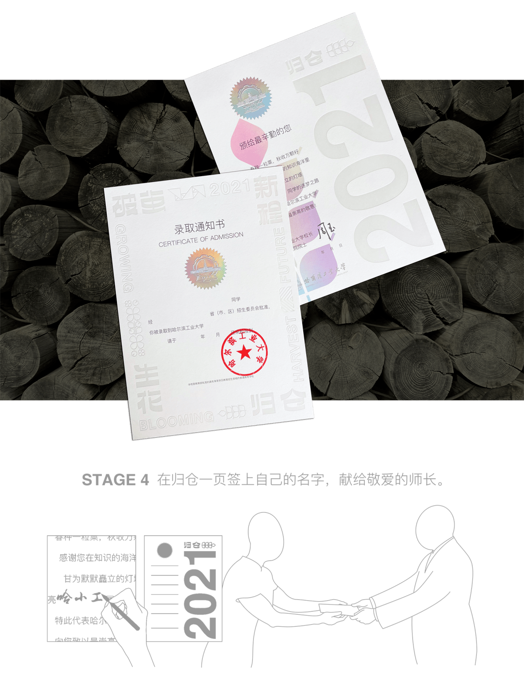 小巷印章探秘，最新章節(jié)揭秘官方印章的魅力