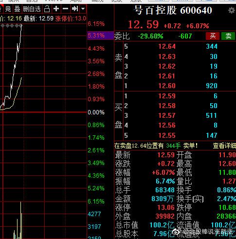 號百控股股票，小巷深處的魅力與探索之旅