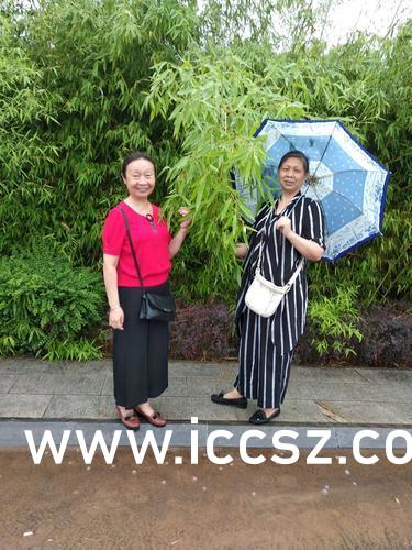 最新美女圖片，時代印記與文化的鏡像展現(xiàn)