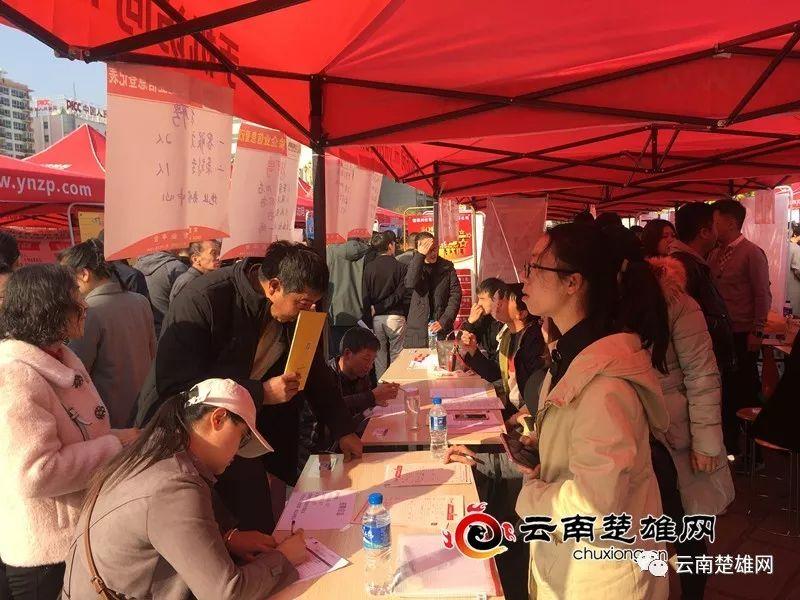 東鄉(xiāng)縣最新招聘資訊，職業(yè)發(fā)展的理想選擇地，尋找人才與機遇的交匯點