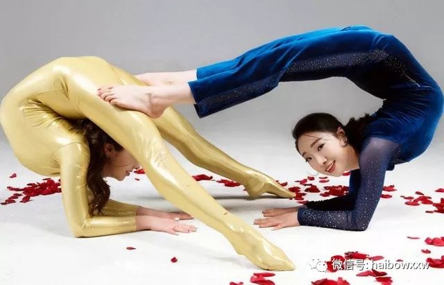 柔術(shù)資訊深度解析，探索世界聚焦要點