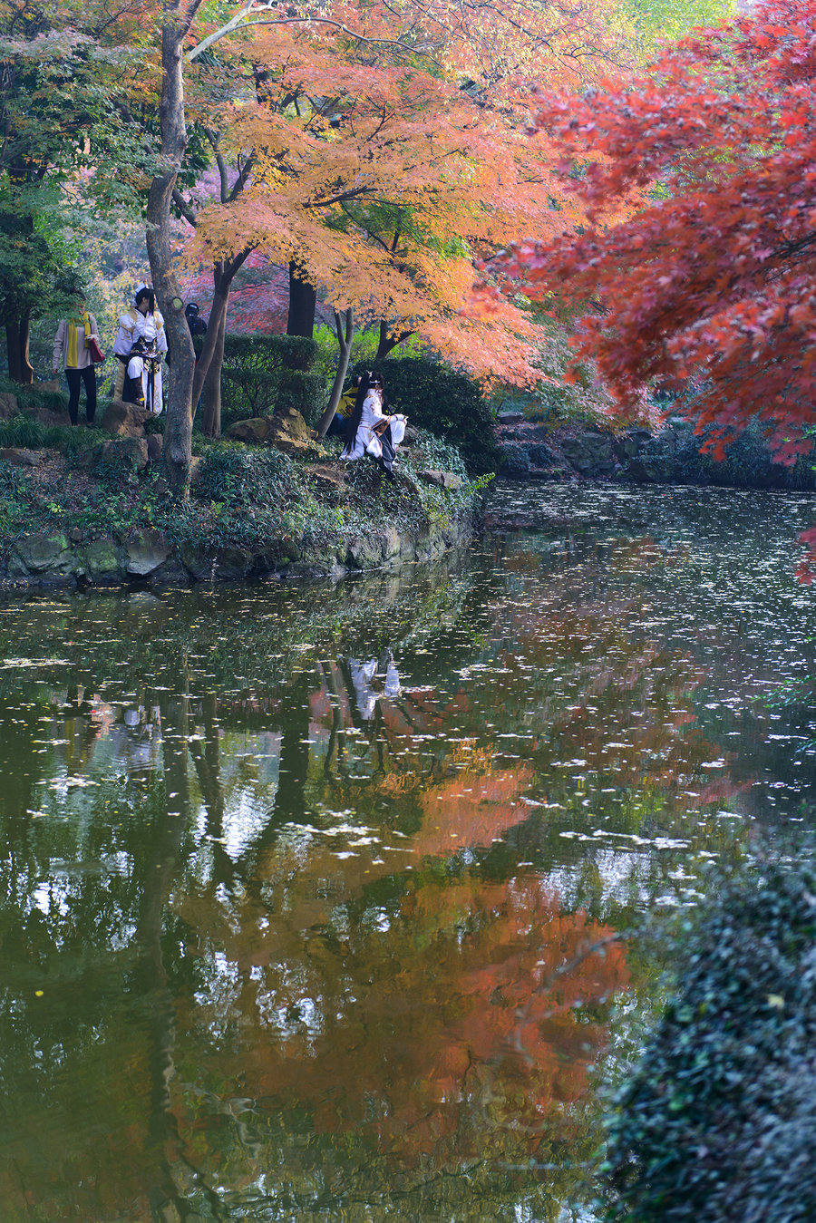 秋霞影院最新，電影藝術(shù)的現(xiàn)代盛宴