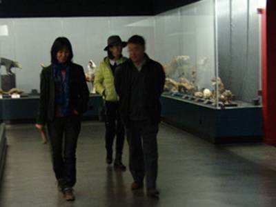 李元潮最新動(dòng)態(tài)揭秘，小巷深處的獨(dú)特風(fēng)味探秘之旅