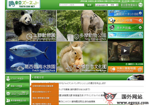 最新動物園網站，自然美景的探索之旅