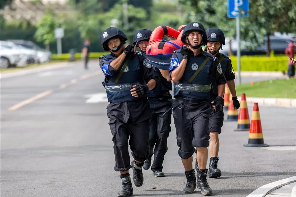 電視劇武裝特警演員表，自信、變化與成就感的勵志之旅探索