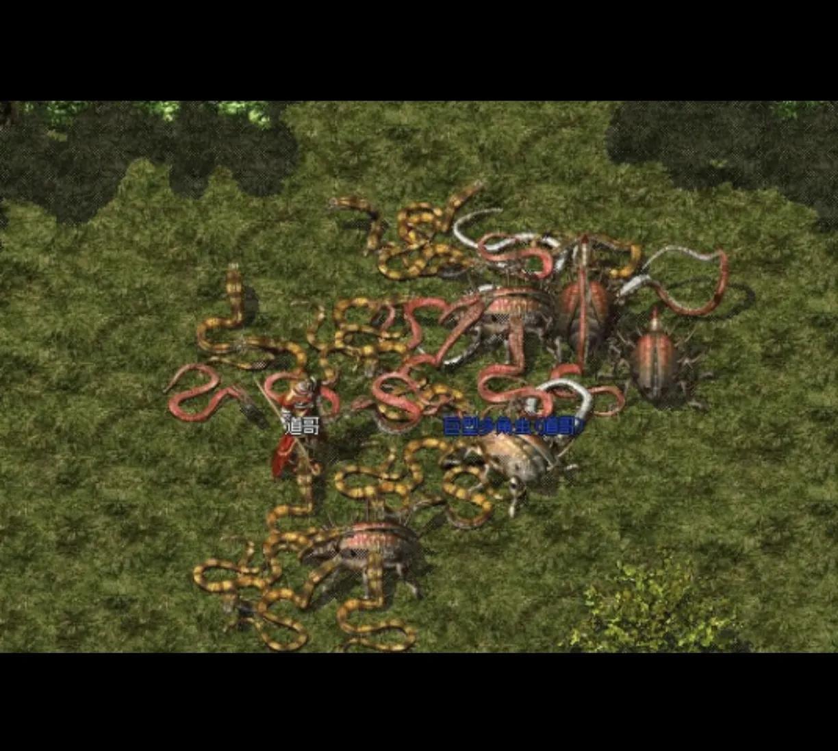 裁決之地演員，小巷中的隱秘寶藏揭秘