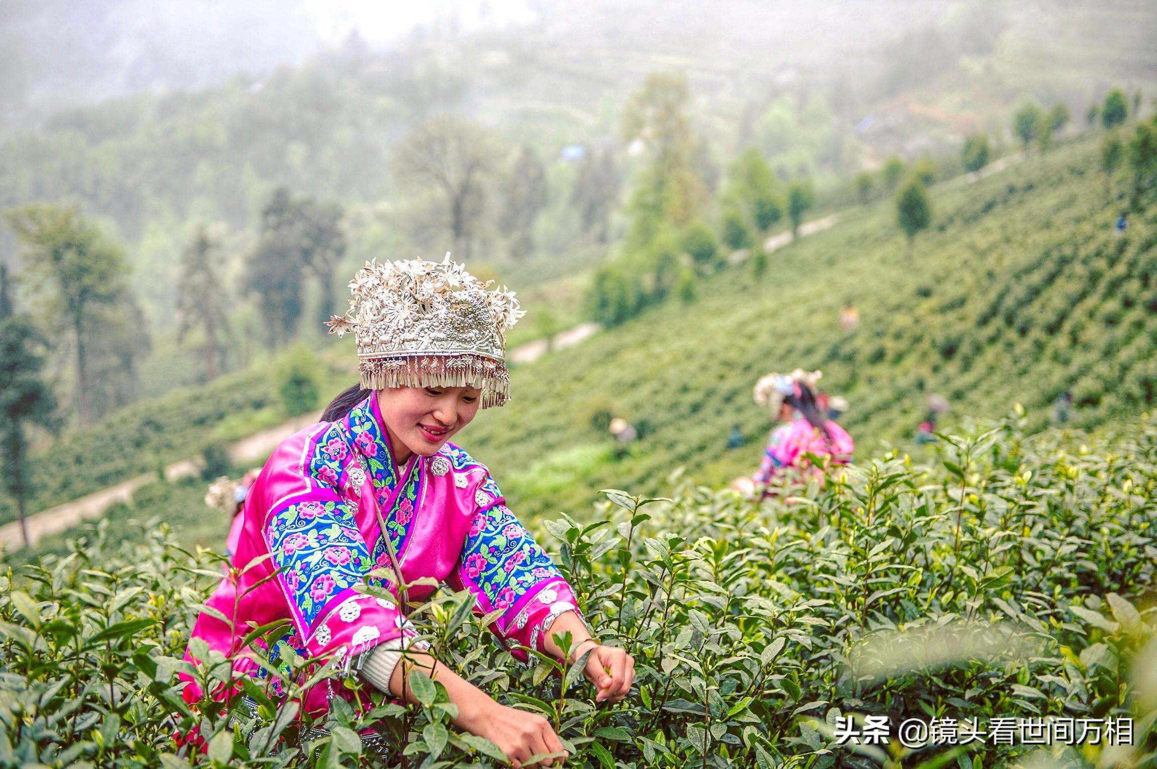 黔南新聞快訊，新鮮出爐的當(dāng)?shù)刭Y訊，不容錯(cuò)過！