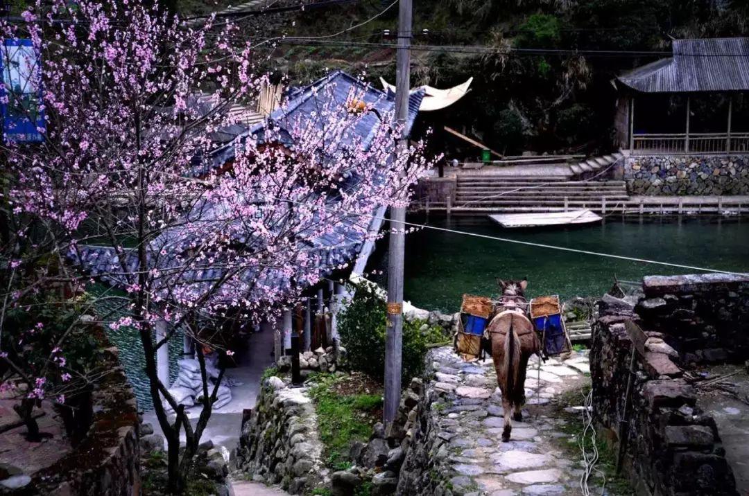 瑞安地圖更新，城市變遷與我們的成長之路