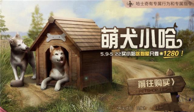 新型寵物風潮，另類寵物的興起、爭議與介紹