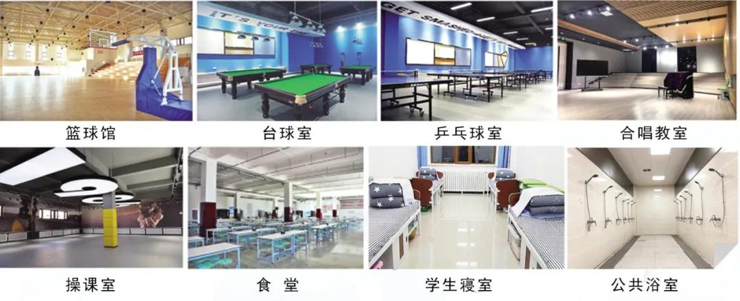 渾南新區(qū)最新招聘資訊，時代脈搏與人才舞臺的交匯點