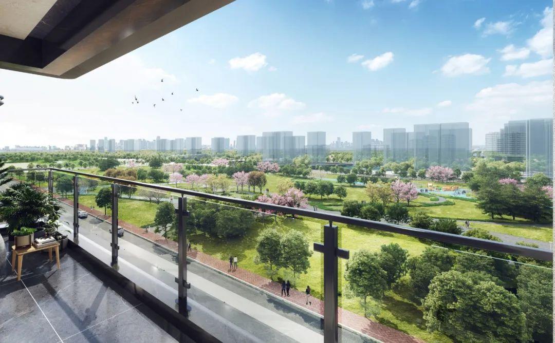 港悅城最新動(dòng)態(tài)，變化中的學(xué)習(xí)之旅，自信與成就感的源泉