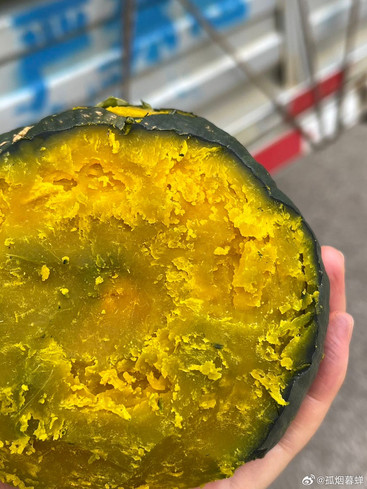 鉤花新品速遞，一場與自然的美麗遨游之旅