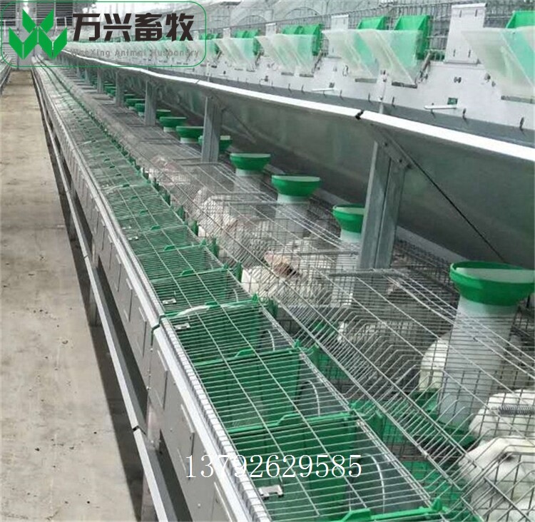 革新養(yǎng)兔業(yè)，新型兔籠引領(lǐng)里程碑式發(fā)展