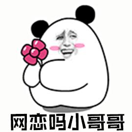 開啟并經營一段網戀關系的實用指南，一步步教你掌握網戀動態(tài)！