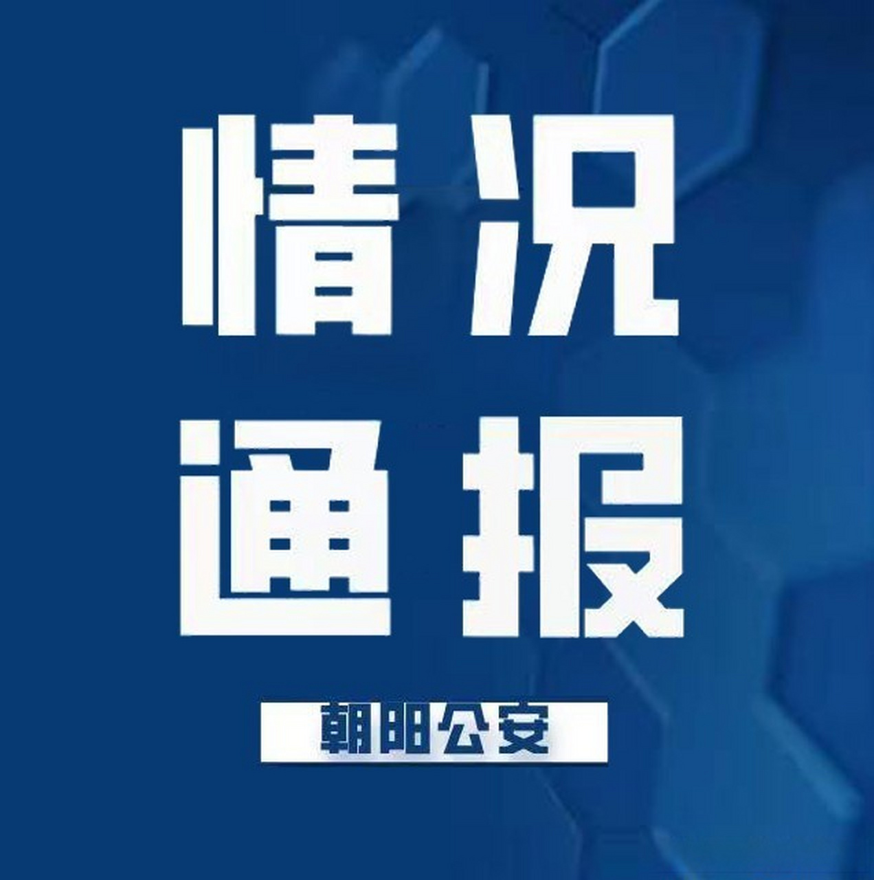 最新動態(tài)揭示，平凡日常的溫馨故事
