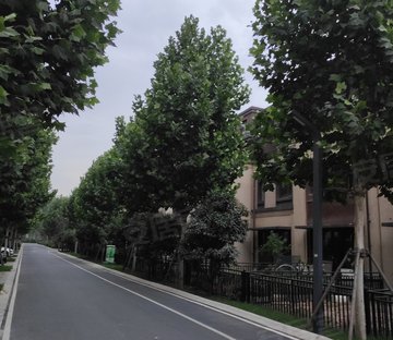 焦作武陟最新房價概覽與趨勢分析