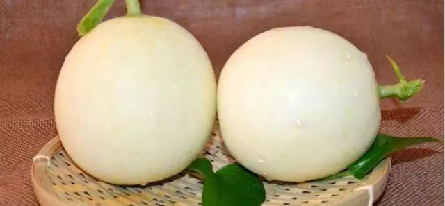 莘縣燕店鎮(zhèn)甜瓜價(jià)格，時(shí)代甜香記憶的探尋