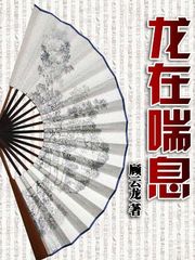 醫(yī)鼎最新章節(jié)閱讀，溫馨日常與友情紐帶的奇妙交織