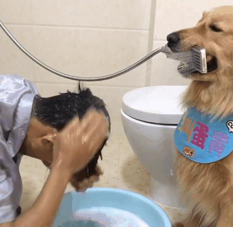 最新手機(jī)支架圖片展示，展現(xiàn)你的正能量與獨(dú)特風(fēng)格，學(xué)習(xí)變化與自信成就