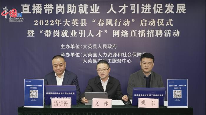 大英縣職位招聘探秘，小巷寶藏與特色小店的邂逅之旅