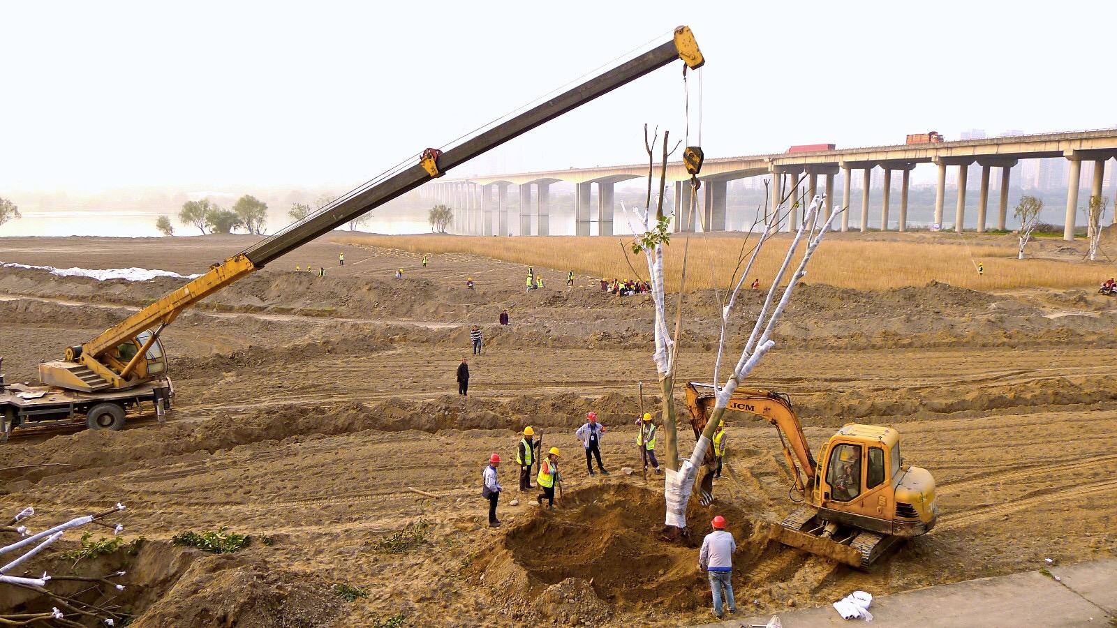 南充下中壩最新建設(shè)圖，城市發(fā)展的多維視角與深度分析