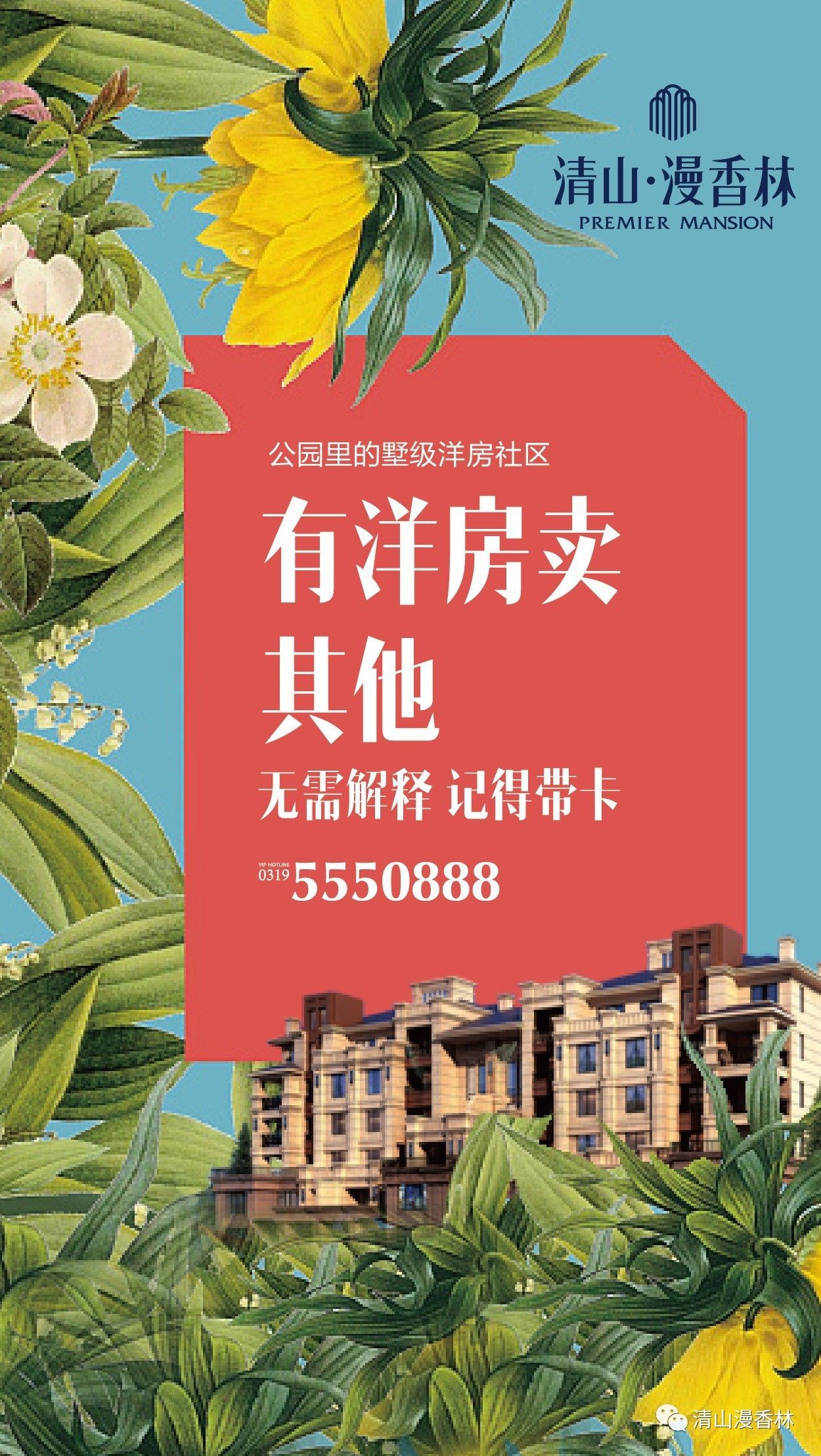 清山漫香林最新動態(tài)，友情、家庭與溫馨的日常