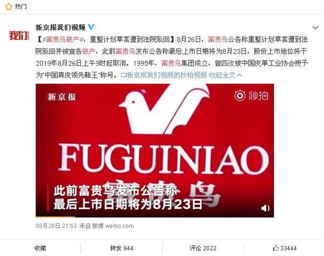 富貴鳥逆境重生，破產(chǎn)背后的力量與變化之美