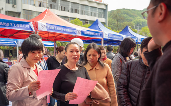 浦城縣招聘網(wǎng)最新招聘，職業(yè)發(fā)展的起點之門
