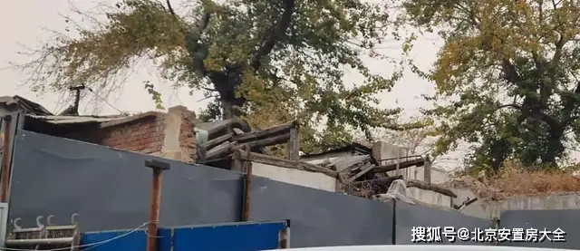 東城區(qū)六號地最新動態(tài)更新