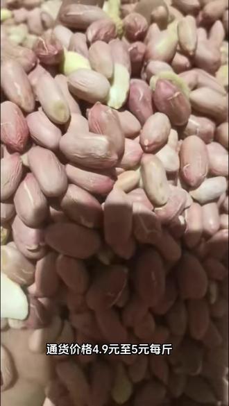 帶殼花生最新批發(fā)價(jià)格，變化中學(xué)習(xí)，成就自信與夢(mèng)想之路